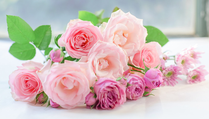 处女座和哪个星座谈恋爱最合适 哪个星座最适合和处女座谈恋爱