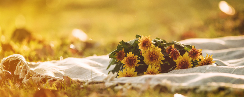 和巨蟹女最配的星座男 什么星座的男生和巨蟹女最配