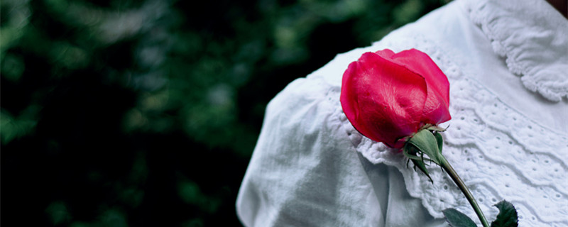 2022年事业运最旺的星座 2022年哪些星座的事业运最好