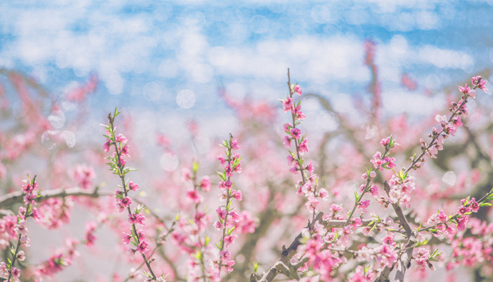和金牛座最不配的三个星座 十二星座谁和金牛座最不配
