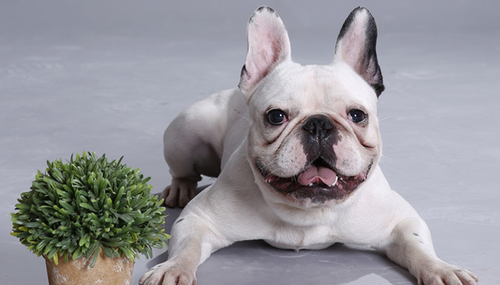 12星座谁最爱放屁排名 哪个星座放屁最多