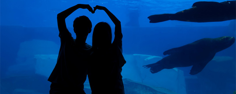 金牛座男和哪个星座最合适 金牛男跟什么星座最配