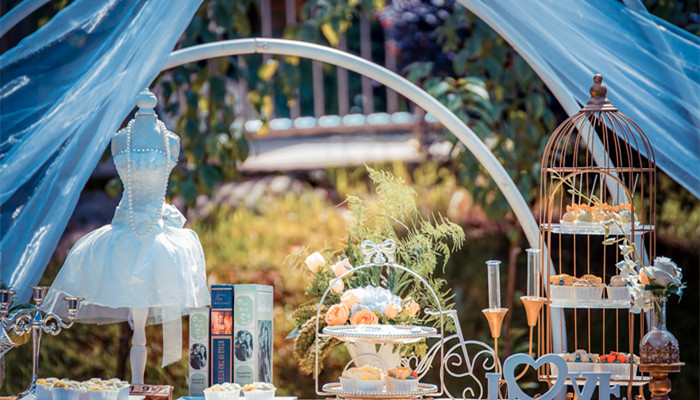 和水瓶结婚最多星座 十二星座什么星座和水瓶结婚最多