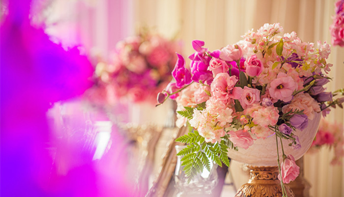 巨蟹男娶得最多星座 巨蟹男娶得最多的是哪些星座女