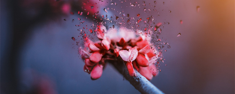 摩羯座女最讨厌什么星座 哪些星座最让摩羯座女感到讨厌