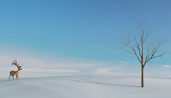 保护欲最强的星座女 哪个星座女生保护欲最强