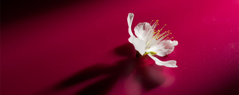 名人和伟人最多的星座 什么星座最会出名人和伟人