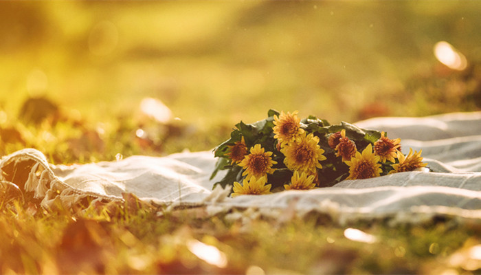 最疼爱水瓶女的星座男 哪些星座男最疼爱水瓶女