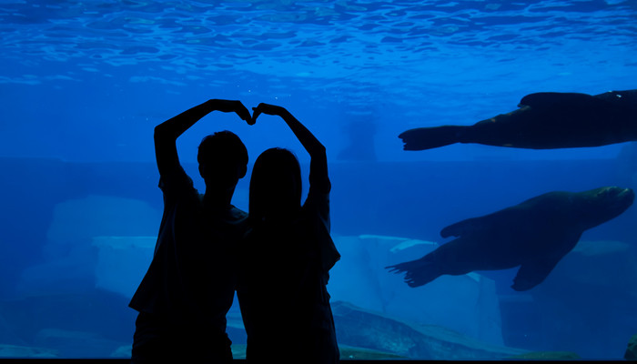 月亮天蝎吸引什么星座 月亮天蝎吸引哪些星座