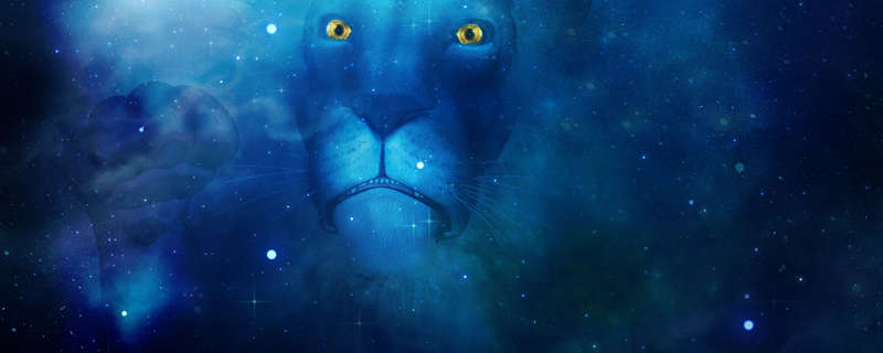 狮子座唯一畏惧星座 强势的狮子座最惧怕的星座