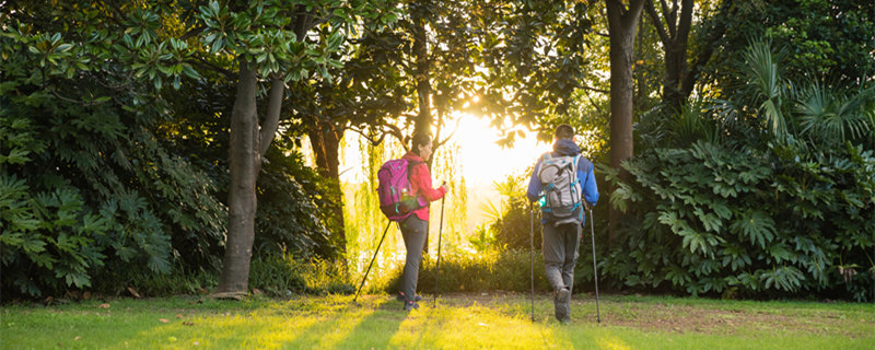 最让处女座依赖的星座 处女座可以依靠的星座