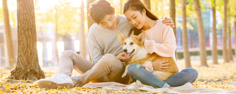 什么星座喜欢白羊女 哪个星座的人喜欢白羊女