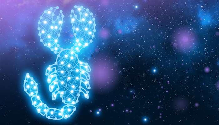 真正爱双鱼的星座 真正爱双鱼的星座详解