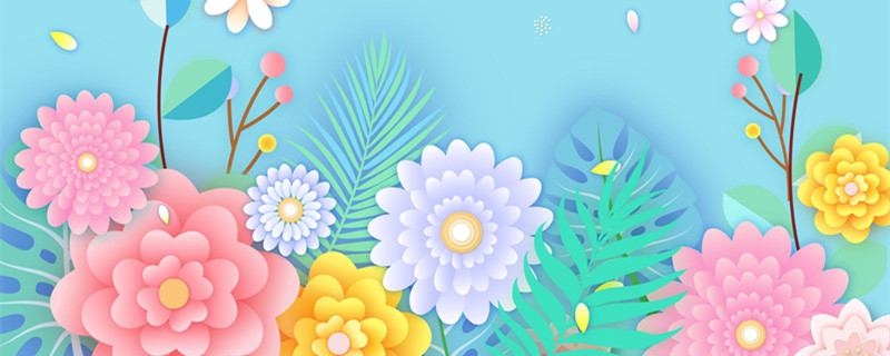 十二星座的守护花是什么 十二星座的守护花分别是什么