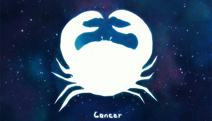 很会生活的星座女 特别会享受生活的星座女生