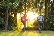 正月初二是什么星座的 农历正月初二星座查询