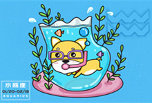 水瓶座适合什么星座 水瓶座适合哪个星座