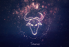 乐嘉是什么星座 乐嘉是啥星座