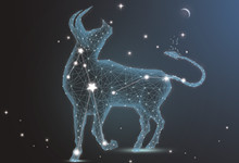 12星座的金牛座是成绩最好的吗 金牛座有什么性格特点