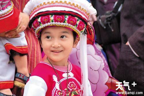 云南哪个少数民族人数最多?