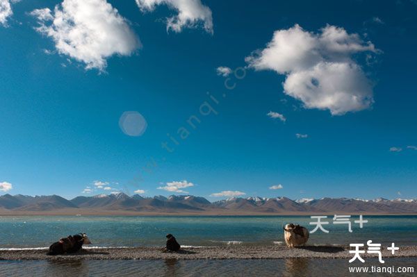 月适合去哪里旅游(中国12月适合去哪里旅游)