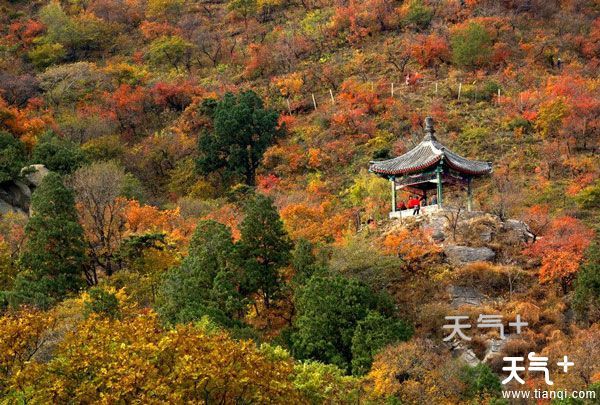 北京香山什麼時候去好 北京香山公園遊玩攻略