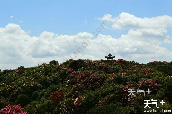 毕节一日游攻略 毕节旅游景点有哪些