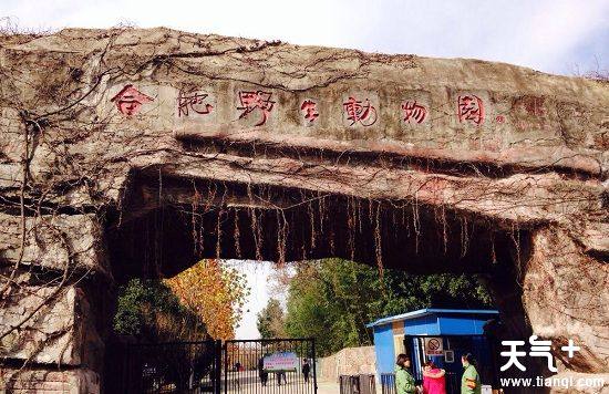 合肥野生動物園的門票是多少