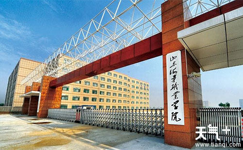 職業學院的前身為始建於1977年的山東省昌濰供銷學校;2002年11月,濰坊