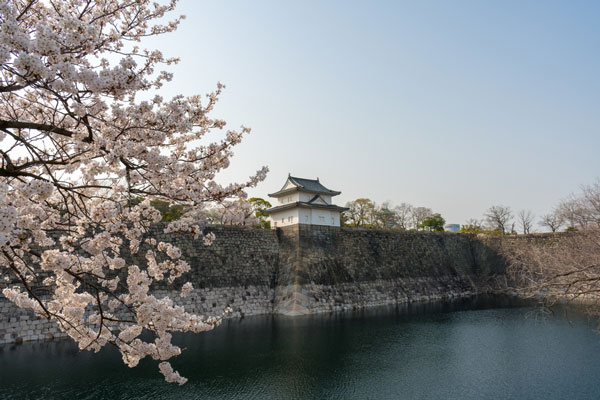 大阪櫻花什麼時候開 2019年日本大阪櫻花期