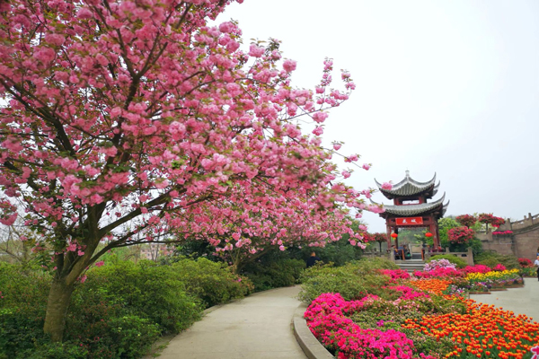 成都四月份赏花的地方成都四月去哪赏花