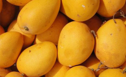 吃芒果的好处和坏处 吃芒果有啥注意事项