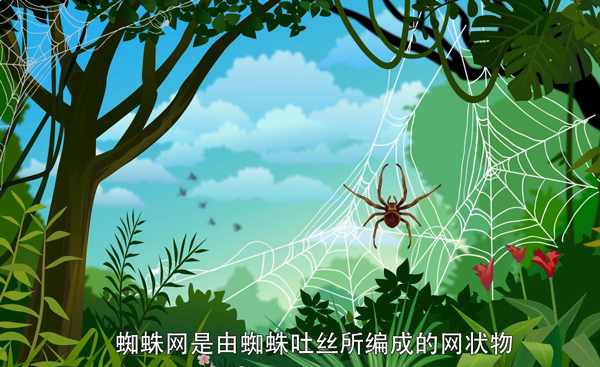 梦见蜘蛛网是什么意思 梦见蜘蛛网是什么预兆