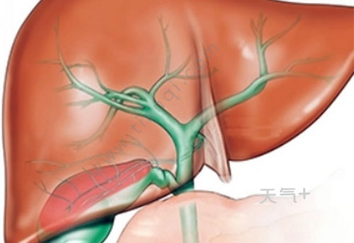 膽紅素偏高是怎麼回事 總膽紅素偏高的原因