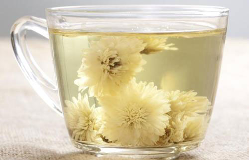 白菊花的功效与作用喝白菊花茶的好处 天气加