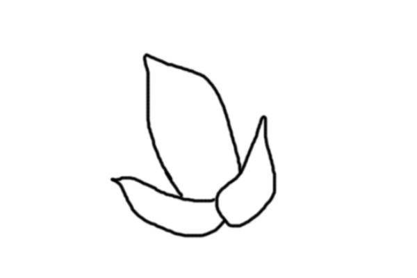 一,在小山包的下方画出玉米的叶子一,首先画出一个小山包的形状