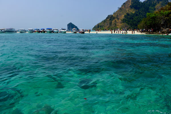 甲米岛和苏梅岛哪个好 泰国甲米和苏梅岛哪个好玩