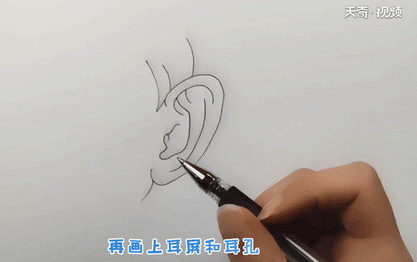 耳朵怎么画简笔画  儿童画耳朵的简单画法