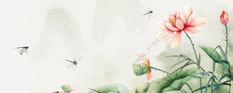 描写夏天的诗 描写夏天的诗句