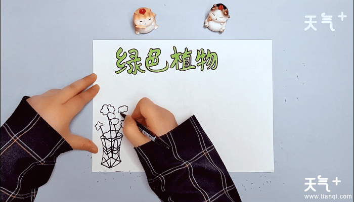绿色植物手抄报 绿色植物画报