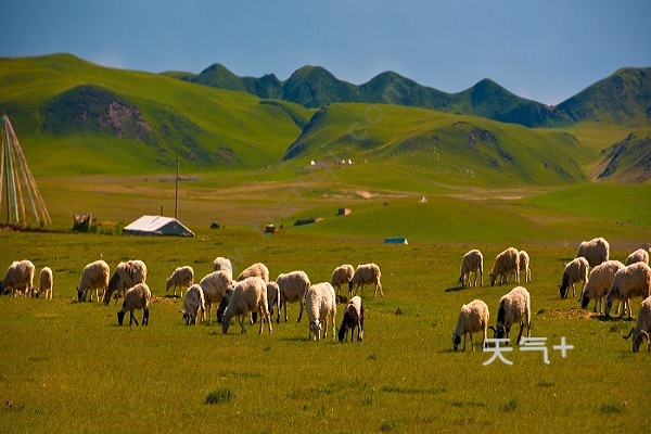 一碧千里而并不茫茫是什么意思 在天底下