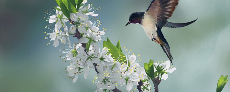 描写鸟的诗句 描写鸟的诗句有哪些