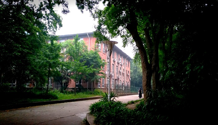 湘潭大学有哪些专业 湘潭大学有哪些专业吃香?