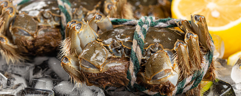 河里的螃蟹吃什么食物 河里的螃蟹都吃什么食物呢