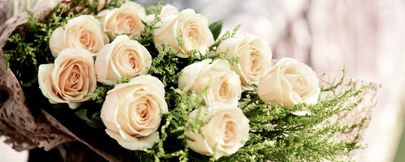 白玫瑰代表什么意思 白玫瑰代表什么意思花语是什么