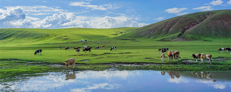 蒙古国的传统产业是什么 蒙古国的传统产业是哪些