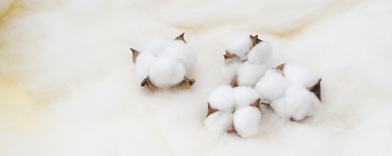 大豆棉是什么材质