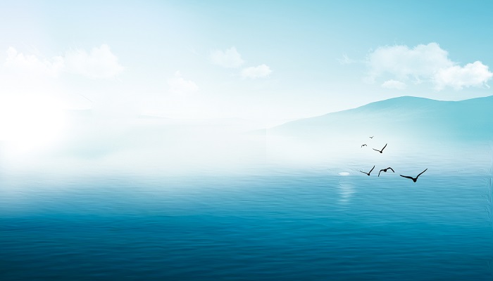 海鸥海 (4).jpg