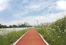 武汉适合骑行散步踏春的10条线路，你最喜欢哪条？