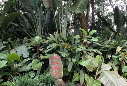 海南热带野生动植物园